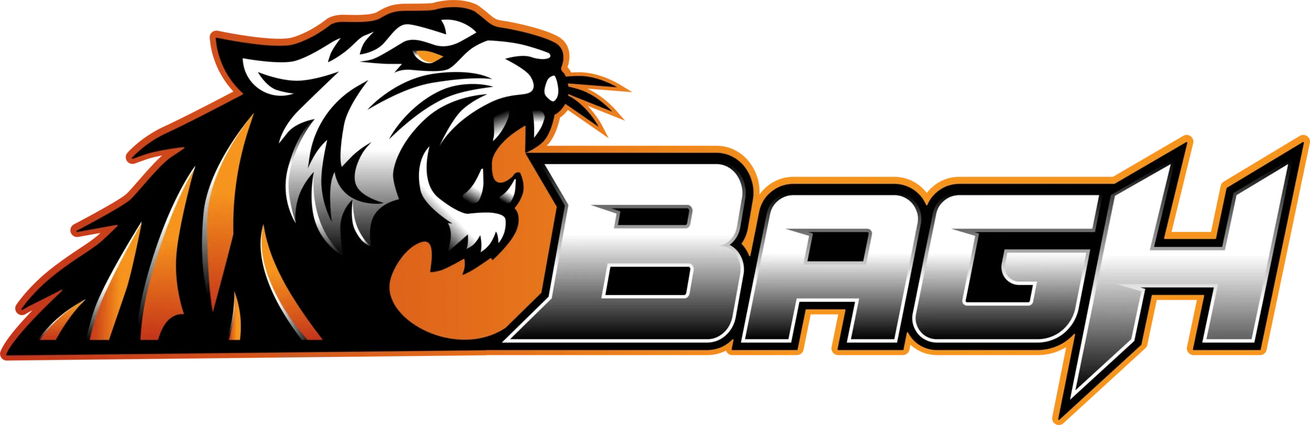 Secure Gaming Choice Featuring Bagh Casino 