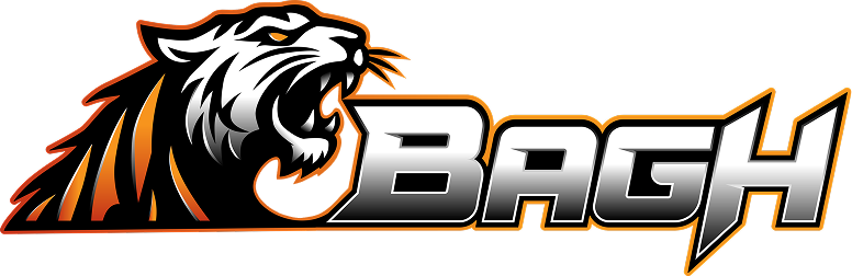 Secure Gaming Choice Featuring Bagh Casino 