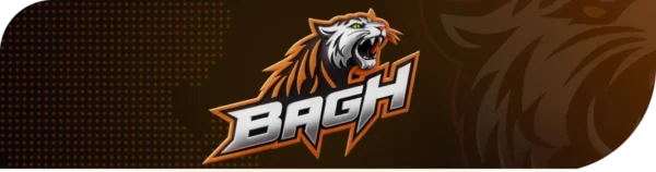 BAGH Casino Registration: A Quick Guide for New Users