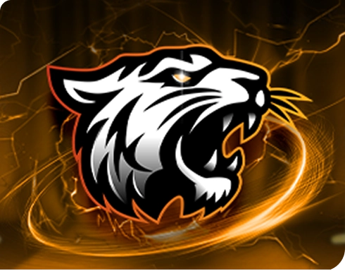 Beginner’s Guide to Bagh Online Casino