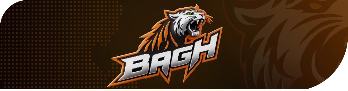 Beginner’s Guide to Bagh Online Casino