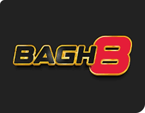 Entertainment Options with the Bagh8 Bet Platform