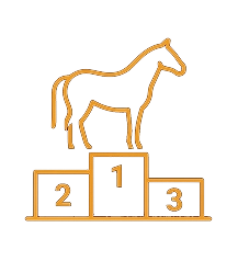 Show Bet Horse Racing