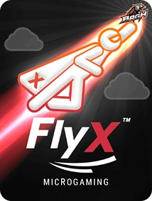 Exclusive FlyX