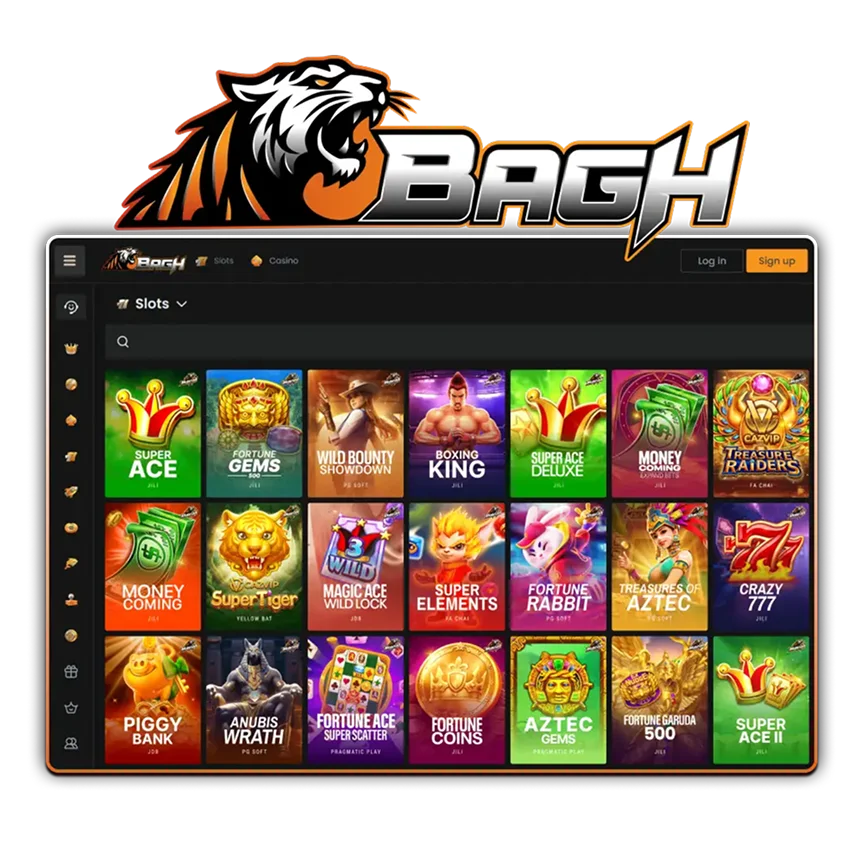Bagh Payment Security