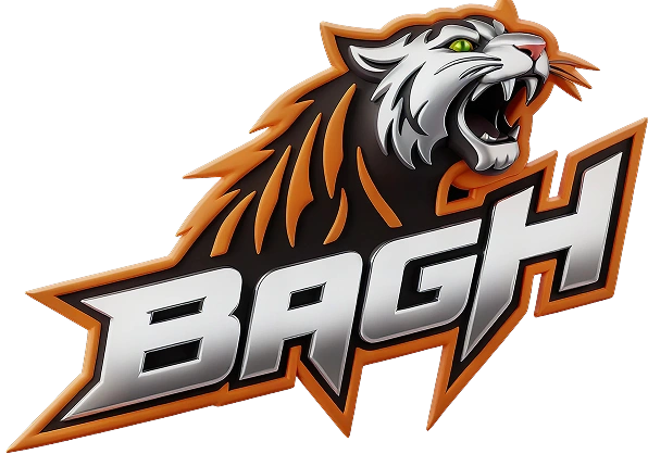 BAGH Casino Deposit Process
