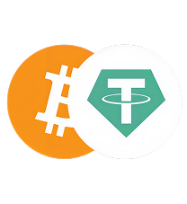 Cryptocurrency and Tether Payment Method